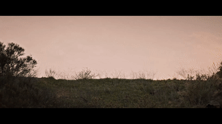 Out Come the Wolves